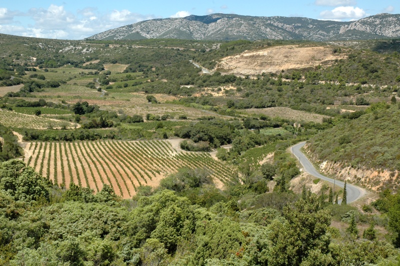 Appellation IGP MONTS DE LA GRAGE